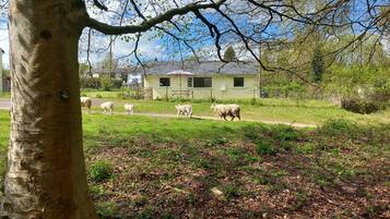 Enceinte de lâhĂ©bergement
