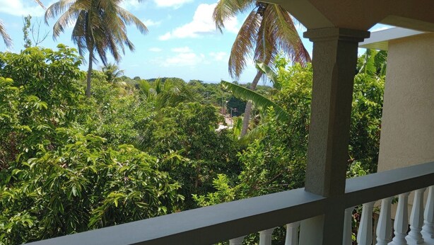 En balkon med udsigt over frodig tropisk vegetation og palmer.