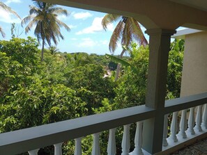 Property grounds - Mountain sea view house (St Patricks)