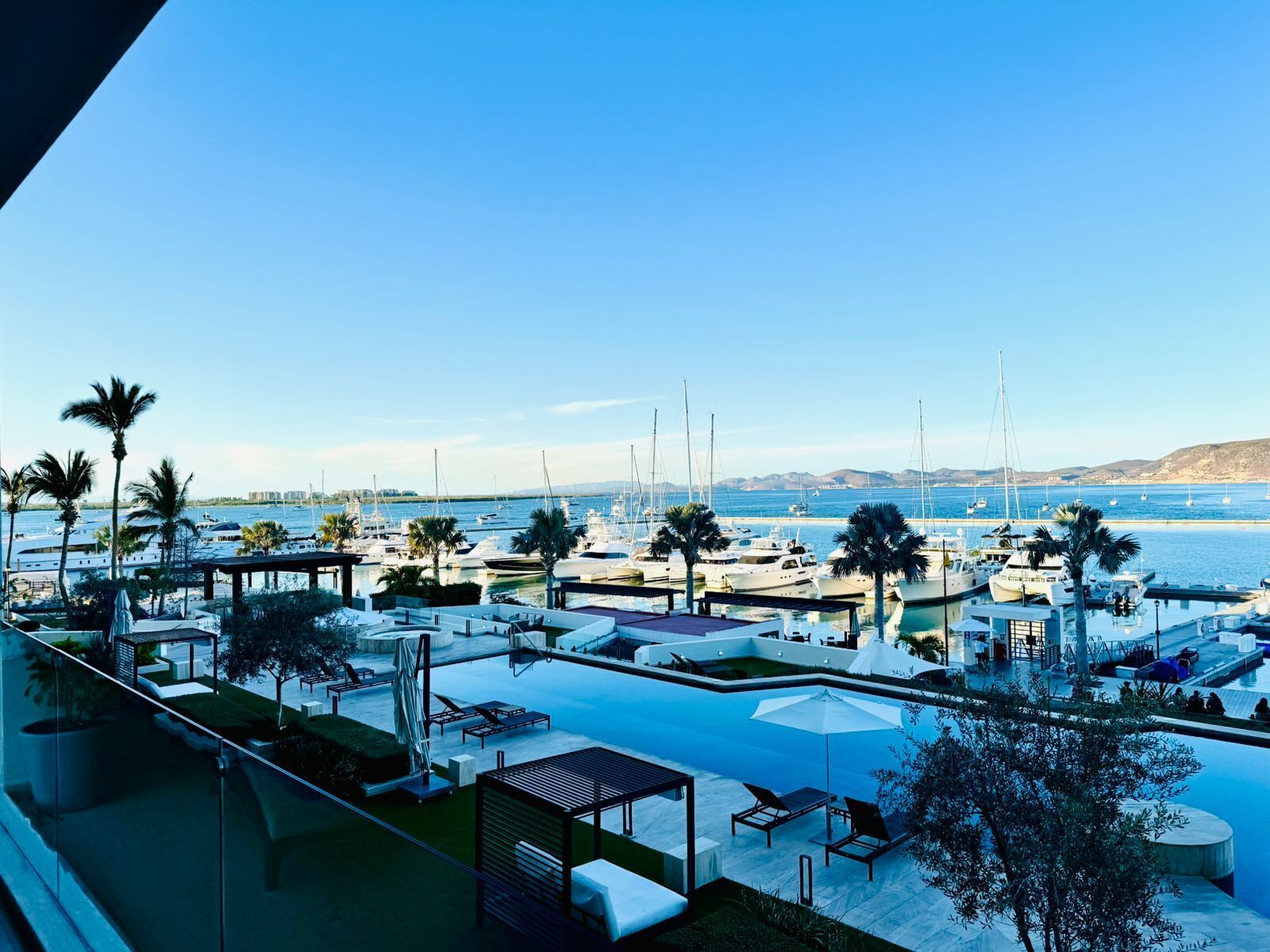 A marina with boats, a swimming pool, and palm trees.