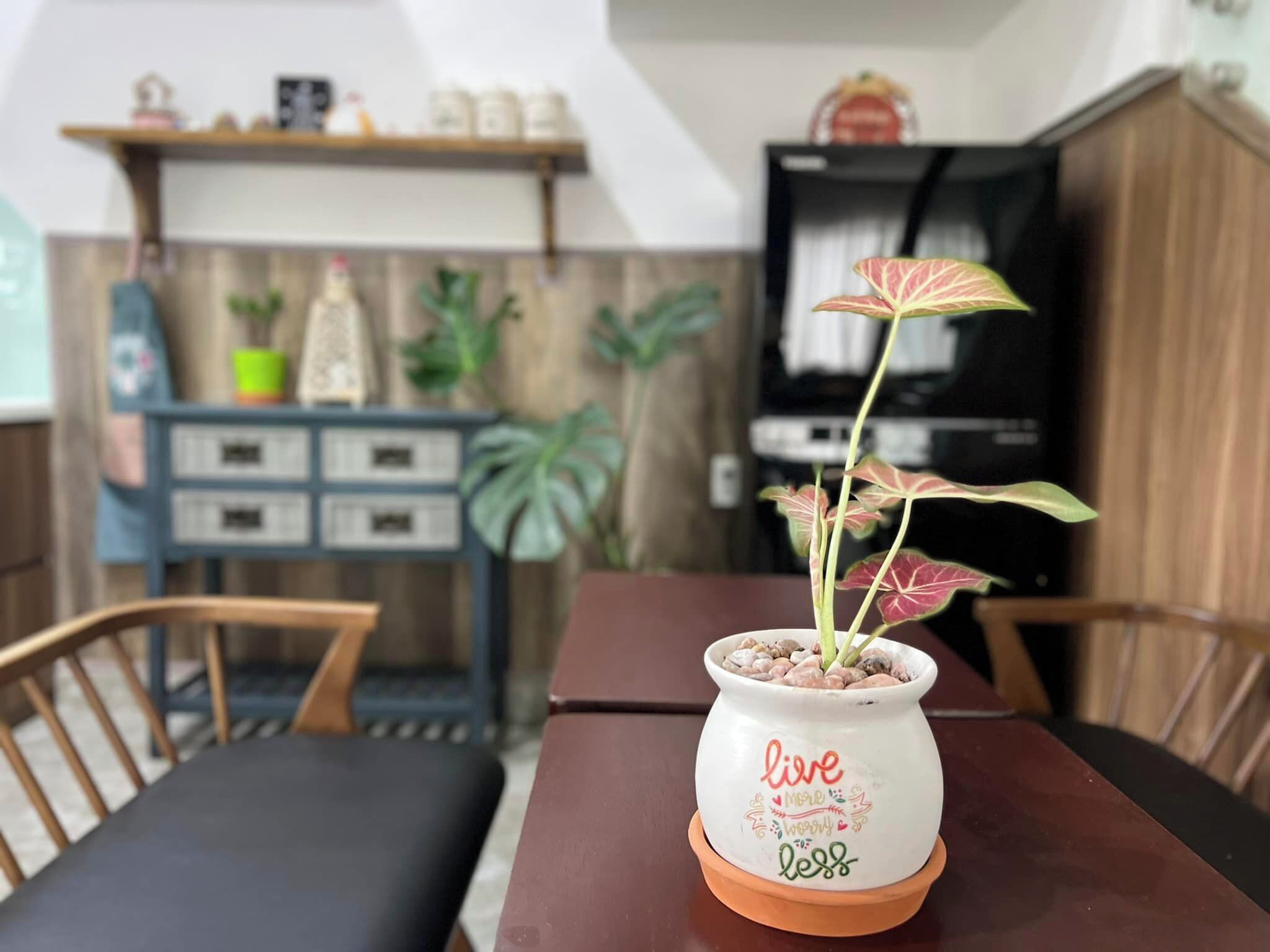 A dining table with a potted plant on a coaster, a television in the background, and a shelf with decorative items.