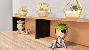 Drie zeshoekige plantenbakken met vetplanten op een houten plank.