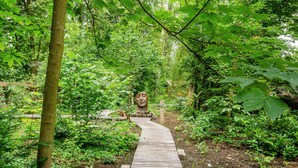 A wooden pathway in a forested area with dense greenery and a large stone sculpture.