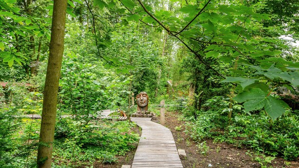 Ein hölzerner Pfad in einer bewaldeten Gegend mit üppiger Vegetation und einer großen Steinskulptur.
