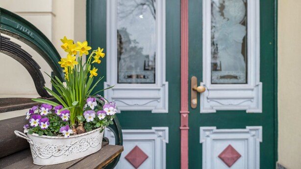 A white ceramic pot with flowers on a wooden bench, a green door with a pink stripe, and a white wall with a window reflection. - Apartment 'Kaiser' with Wi-Fi (Ostseebad Kühlungsborn)