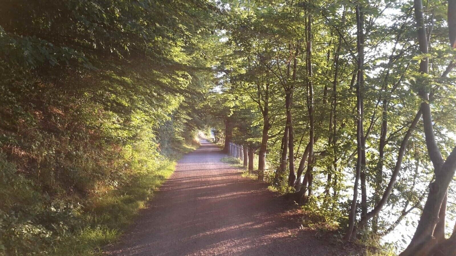 Un camí estret arbrat amb una tanca a un costat.