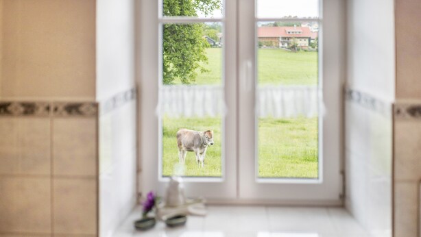 A window with a view of a grassy field and a building in the distance.