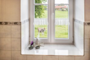 Ikkunasta avautuu näkymä vehreälle niitylle ja kauempana sijaitsevaan rakennukseen.
