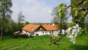 A white house with a red roof, surrounded by green grass and trees. - Chalet 'Feinis' with Private Terrace, Garden, and Wi-Fi (Waasen)