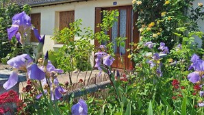 Une maison traditionnelle avec un toit en tuiles, une cheminée et un jardin où poussent des fleurs violettes.