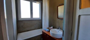 Hair dryer, soap, shampoo, toilet paper