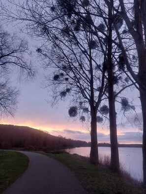 Ein Weg, der zu einem Gewässer führt, gesäumt von Bäumen.
