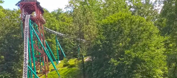 A roller coaster with a red and green structure, surrounded by dense green trees.
