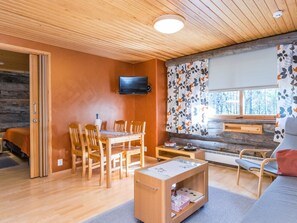 Televisio, DVD-soitin