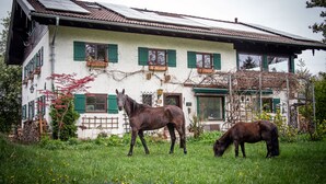 Ein Gebäude mit weißer Fassade und grünen Fensterläden, ein Pferd im Vordergrund und ein gepflegter Garten.