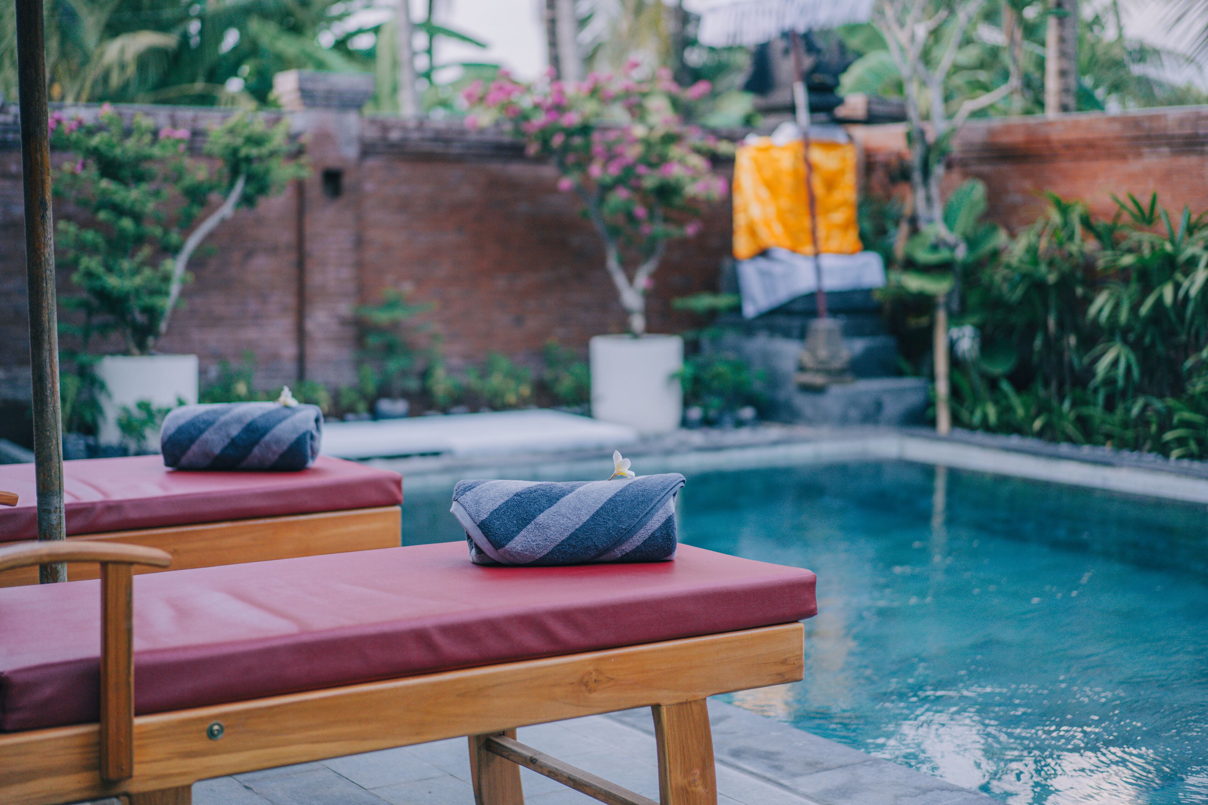 A poolside area with wooden lounge chairs and a red cushion, surrounded by greenery and a brick wall.