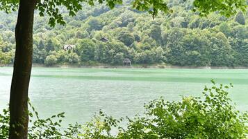 Ein ruhiger See mit einem Haus und einem Pavillon am Ufer, umgeben von dichtem Wald.