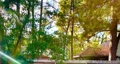 Lovely Woodlands home w/heated pool and spa!