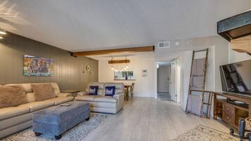 电视、壁炉、电子游戏