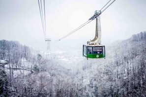 Deportes de invierno y ski