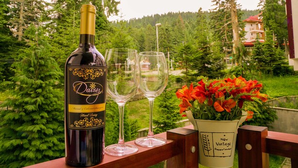 A bottle of wine, two wine glasses, and a vase with flowers on a table with a view of a forest and a building. - Flora Residence Daisy (Samokov)