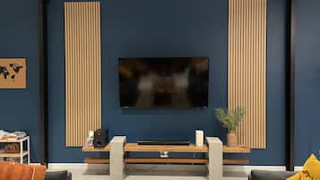 Smart TV, fireplace, books