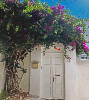 Exterior - Kamara Residence Mykonos (Mykonos)