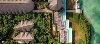 バンブー ザンジバル