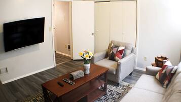 Fernseher, Arbeitsbereiche