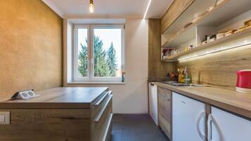 Mikrowelle, Herdplatte, Geschirrspüler