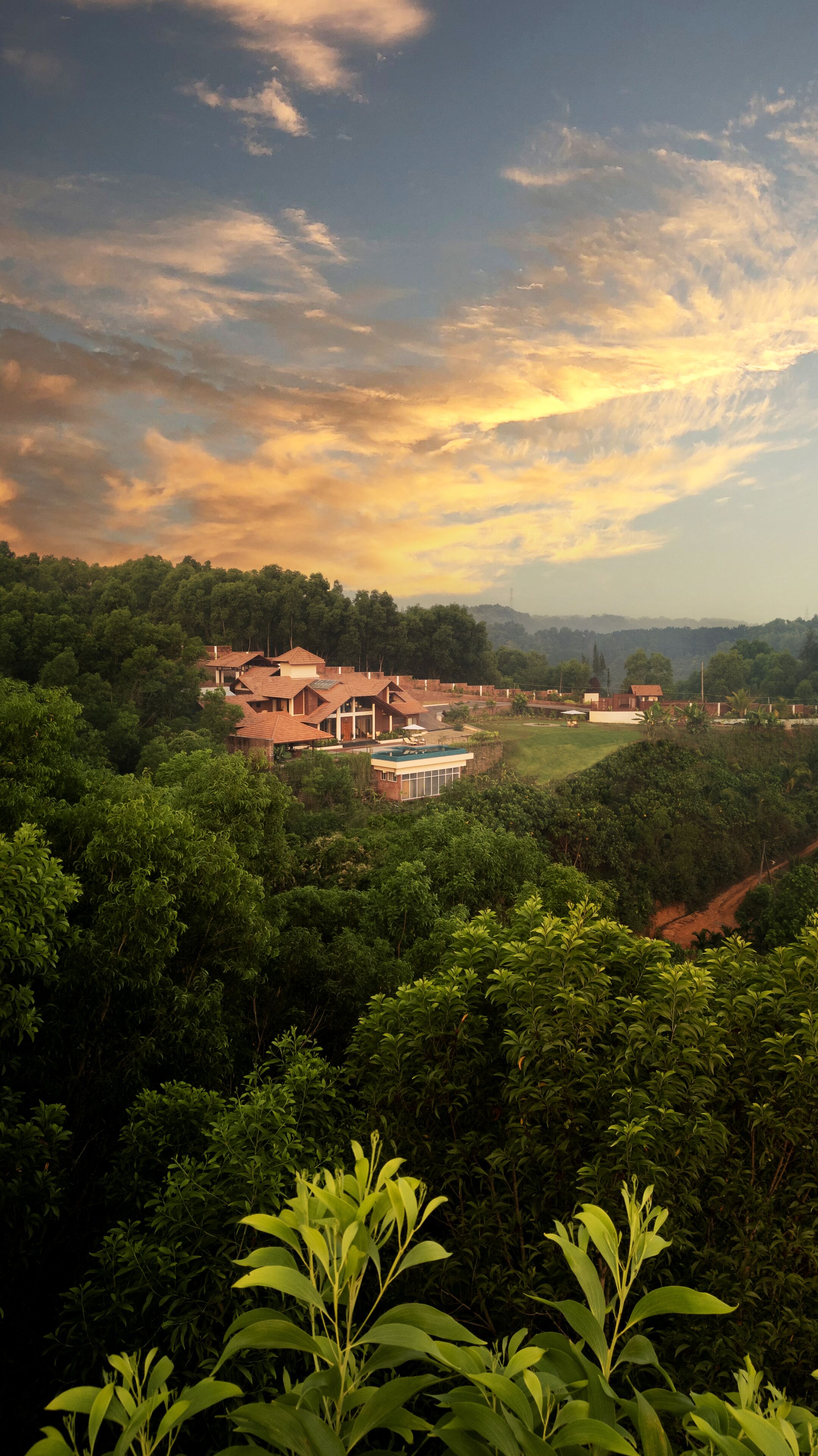 A residential area with houses surrounded by dense greenery, a swimming pool, and a clear view of the sky.