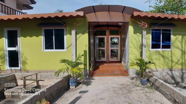 A two-story house with a green facade, a brown roof, and a central entrance with glass doors. There are potted plants on the front steps. - B&F Travellers Inn (Daanbantayan)