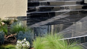 A house with a white exterior, a black tiled entrance, and a small garden with various plants. - Athenian Gem (Athens)