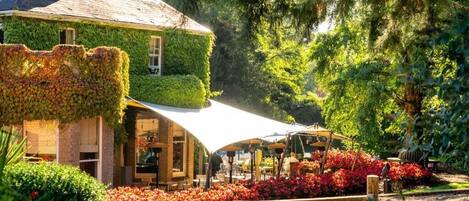 Standardzimmer | Terrasse/Patio