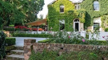 ์คํ ๋ค๋๋ฃธ | ํ
๋ผ์ค/ํํฐ์ค