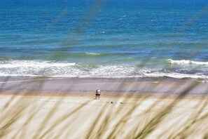 Beach nearby - Stunning Waterfront Views, Beach steps away! (Wellfleet)