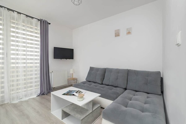 Living area with a double sofa bed and TV