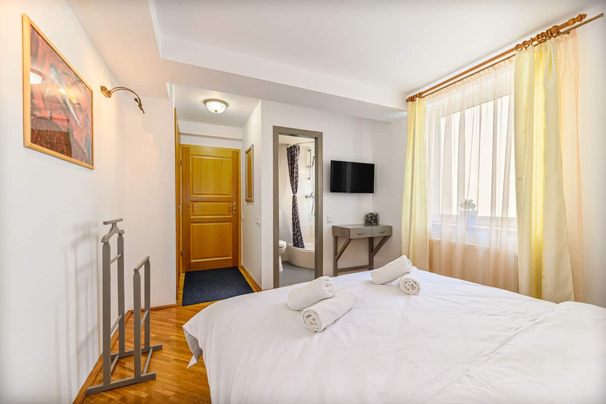 A hotel room with a bed, a television, a wooden door, and a shower area.