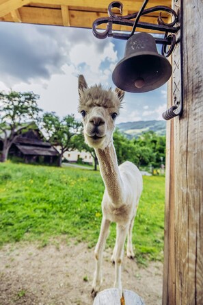 아파트 | 2 개의 침실