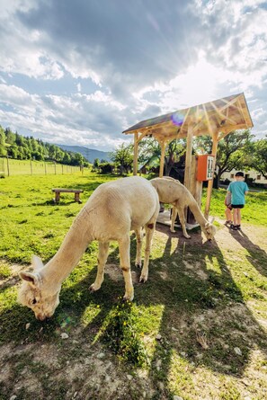 Lejlighed | 2 soveværelser