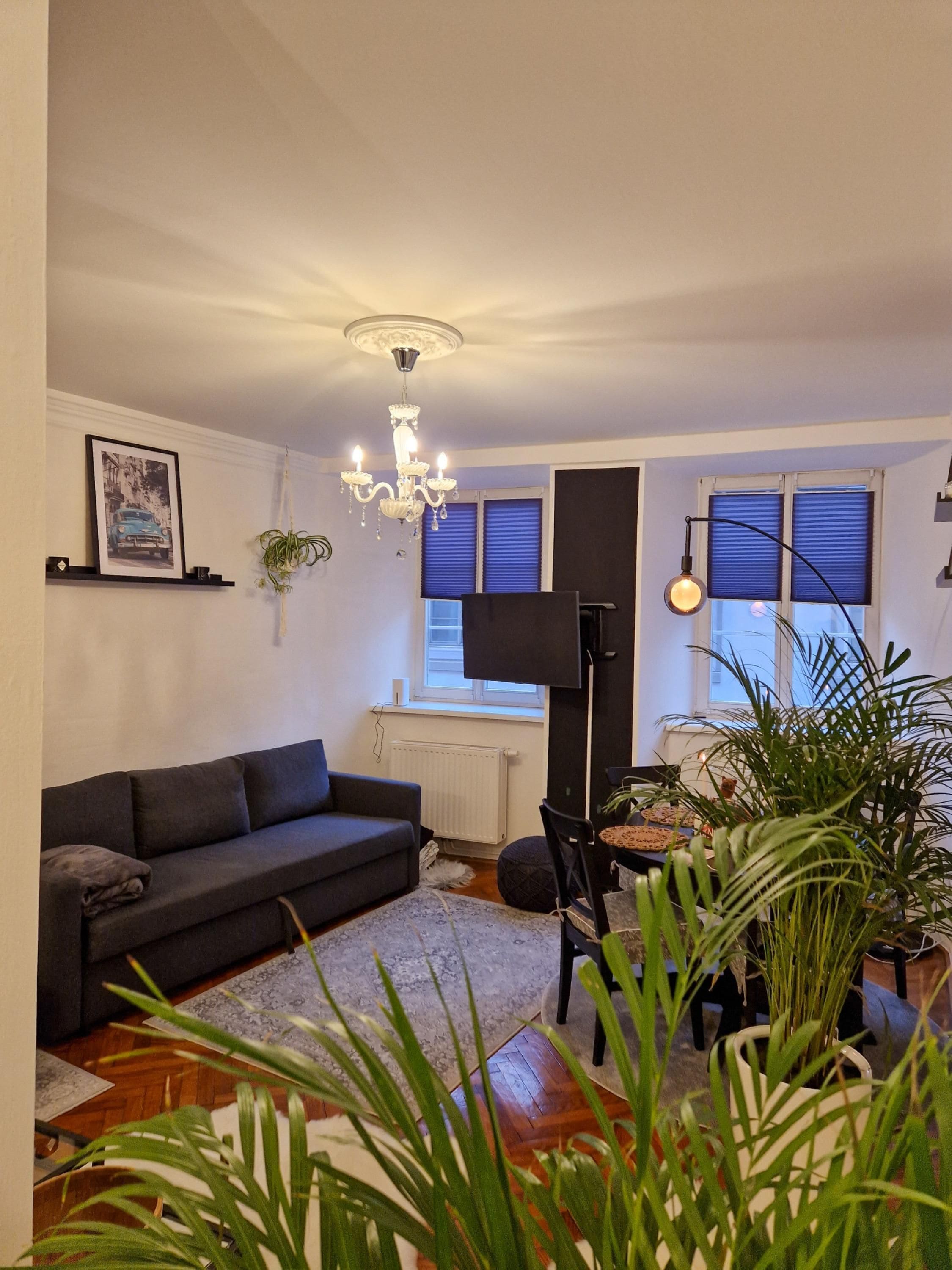 Apartamento | 1 dormitorio