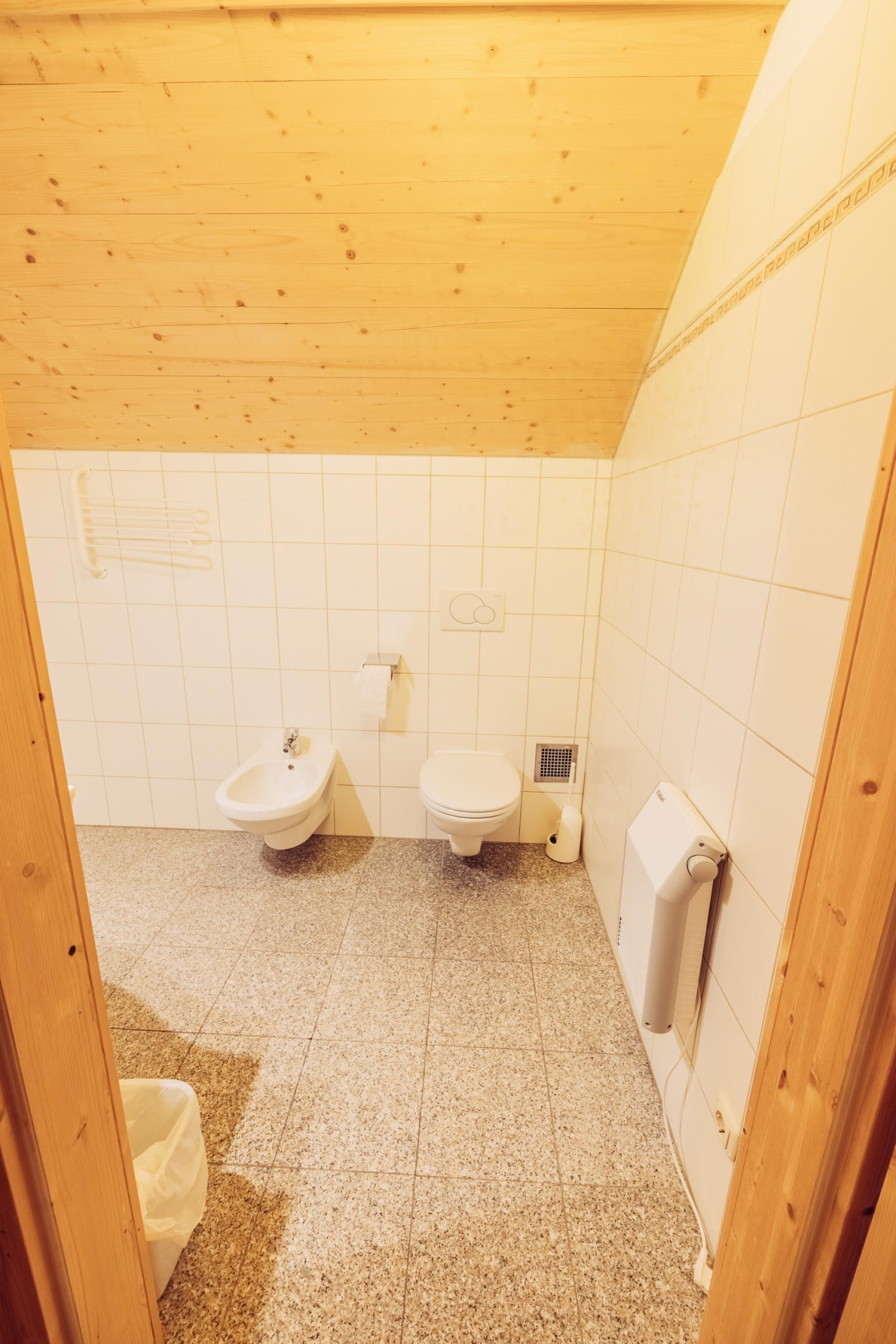 A small, compact bathroom with a wooden ceiling, a bidet, a toilet, and a towel rack.