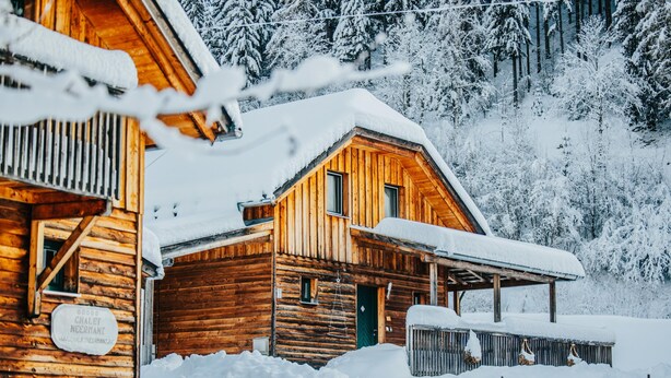 A wooden cabin with a snow-covered roof and a sign indicating it is a chalet.
