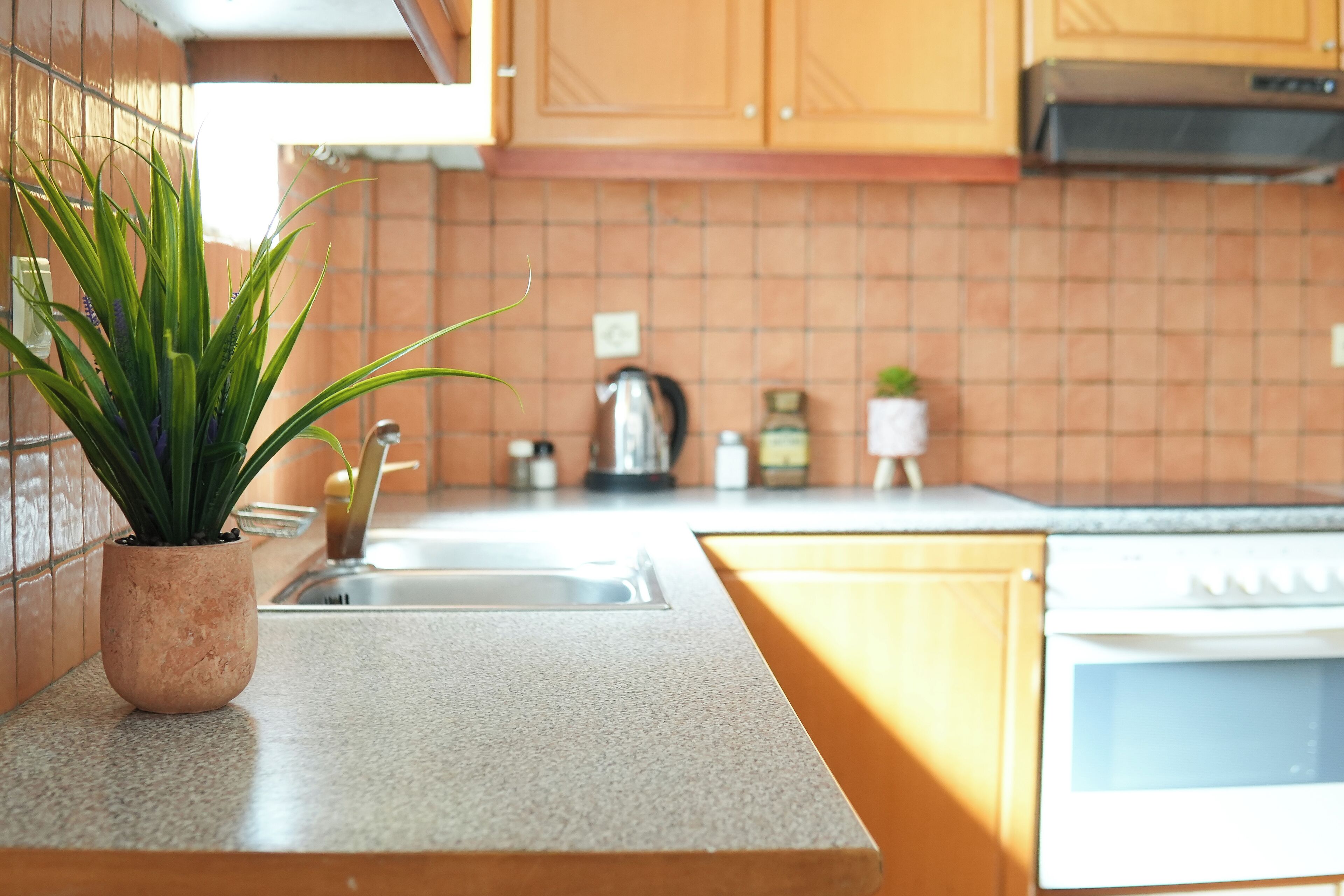 Una cocina con encimera de granito, una planta en maceta, un lavaplatos de acero inoxidable, una estufa y armarios de madera.