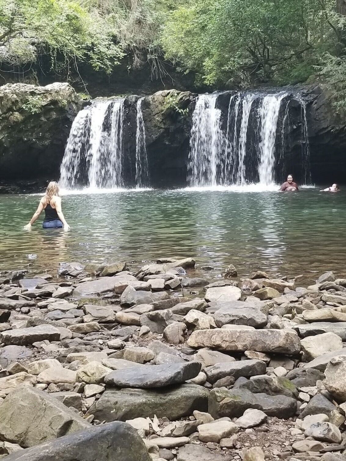 NEW! On a WATERFALL! Fiery Gizzard Lodge at Sycamore Falls! 13 bluff acres! 