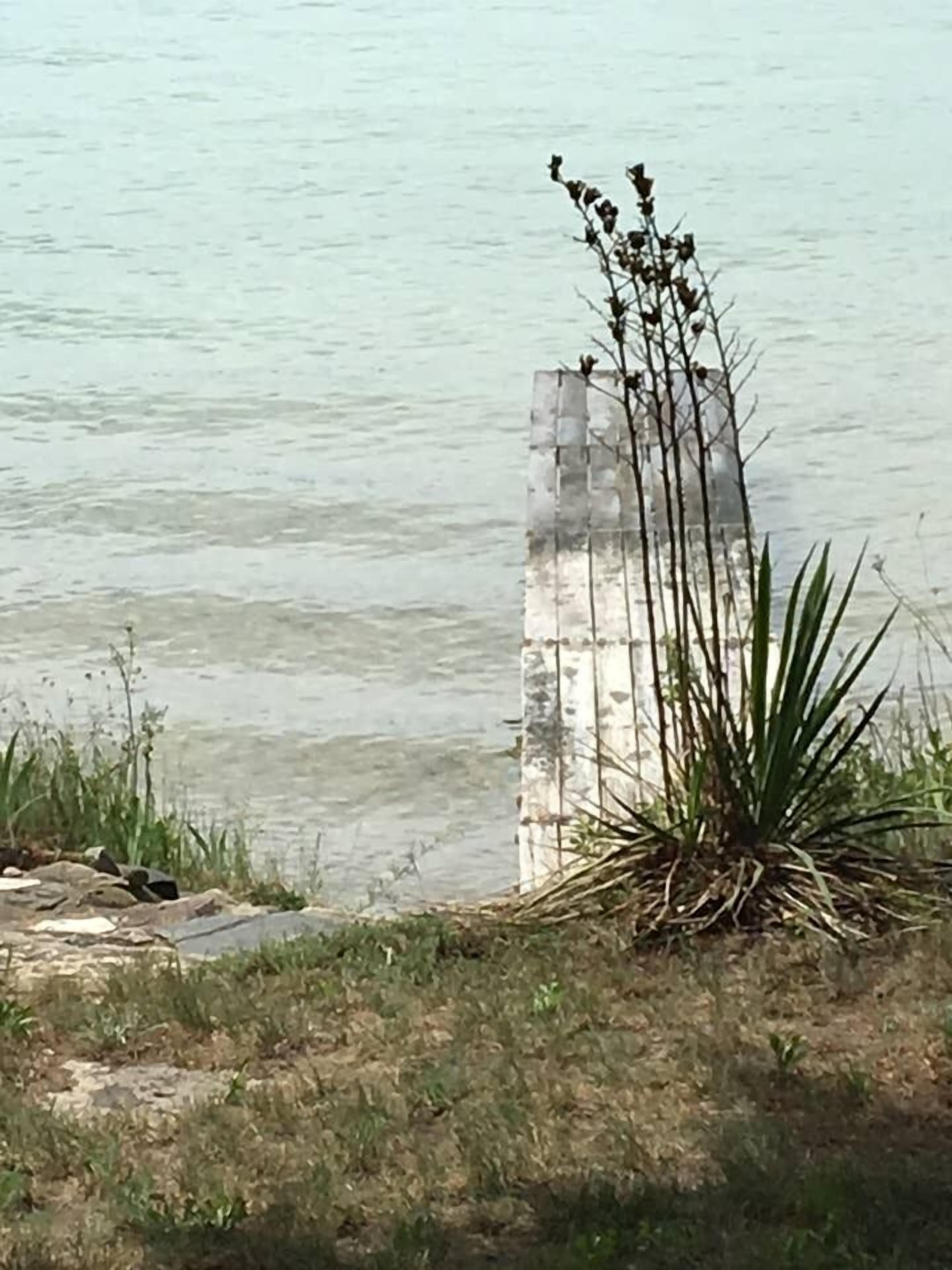 Une structure en béton située au bord d’un plan d’eau, avec une végétation clairsemée.