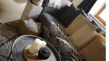 TV connectée, cheminée, jeux vidéo, lecteur de DVD