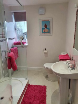 Secador de pelo, toallas, jabón y papel higiénico