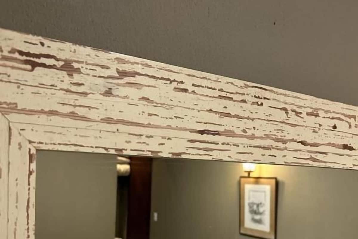 Standard Suite | Room amenity