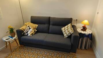 Een televisie, boeken en een computerscherm